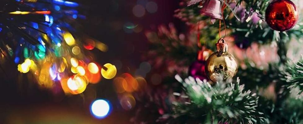 Navidad 2022-800x400 px (002)