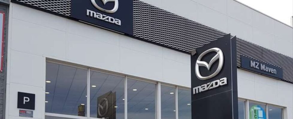 cesvimap MZ Maven copia