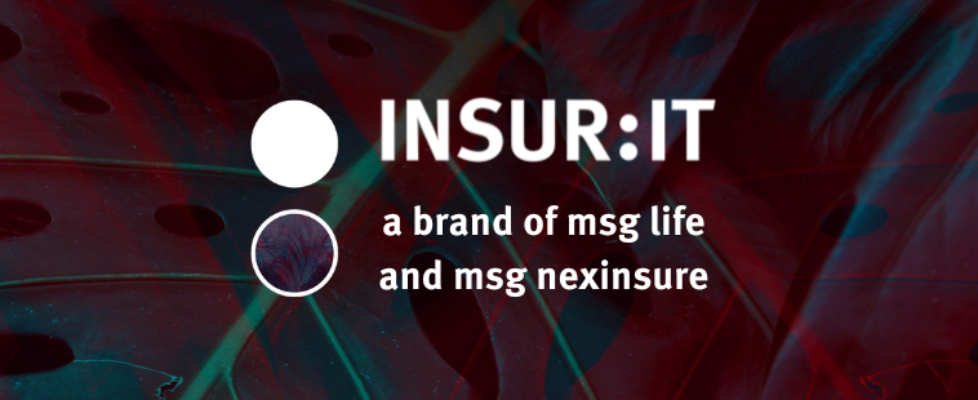 msg Insurit_Image_Post (002)