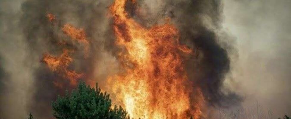 Allianz geolocalización