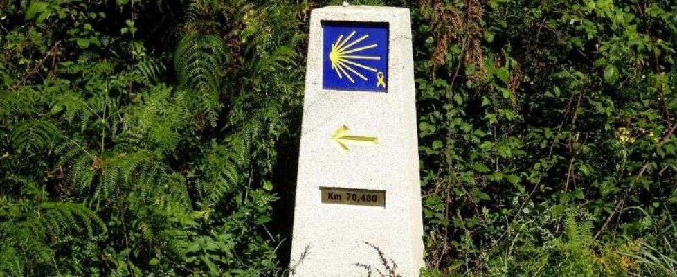 Camino Integración 2023