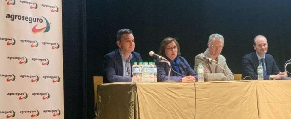 agroseguro Jornada de divulgación del seguro de cítricos (002)