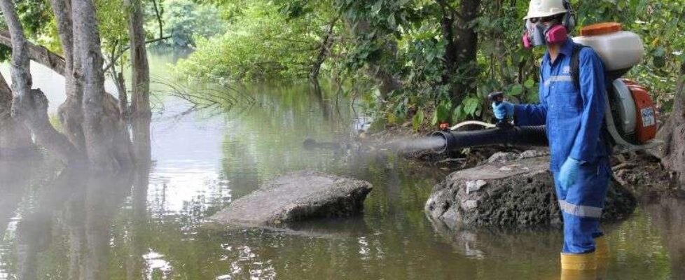 Internationa SOS Malaria