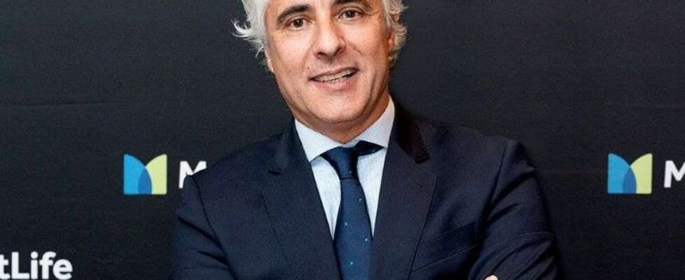 Metlife Villa Magna low