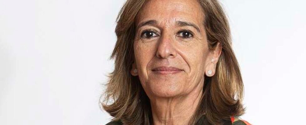 Unespa Mirenchu del Valle Schaan - Presidenta de UNESPA (002)