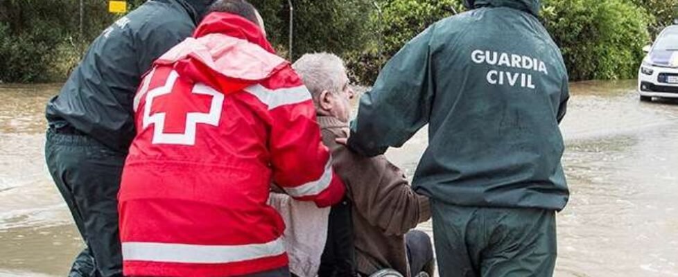 cruzroja-1080x491 (002)