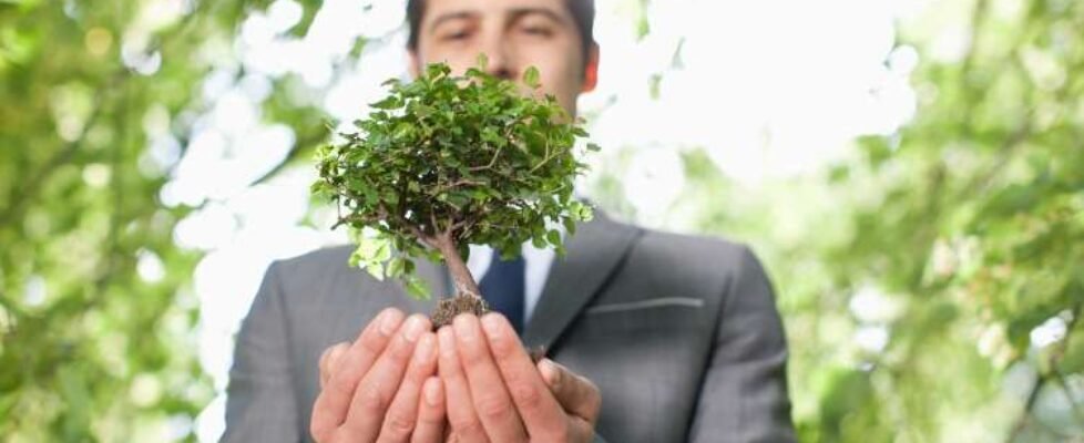 dkv medialia Seguros News