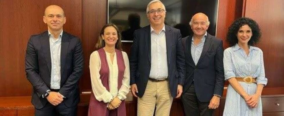 Allianz WTW Networks