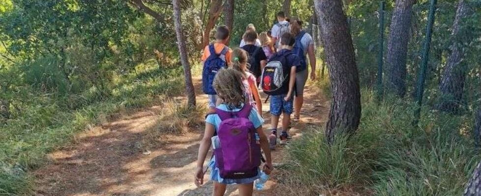 Generali campamentos verano