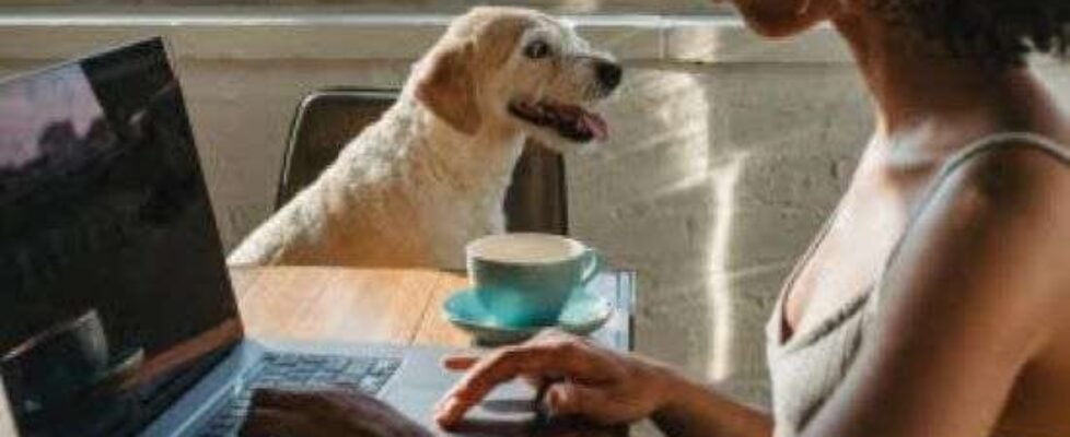 Passport Card mascotas