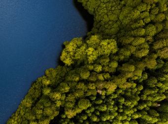 RSBiz, la nueva marca de outsourcing laboral, fiscal y contable de RibéSalat