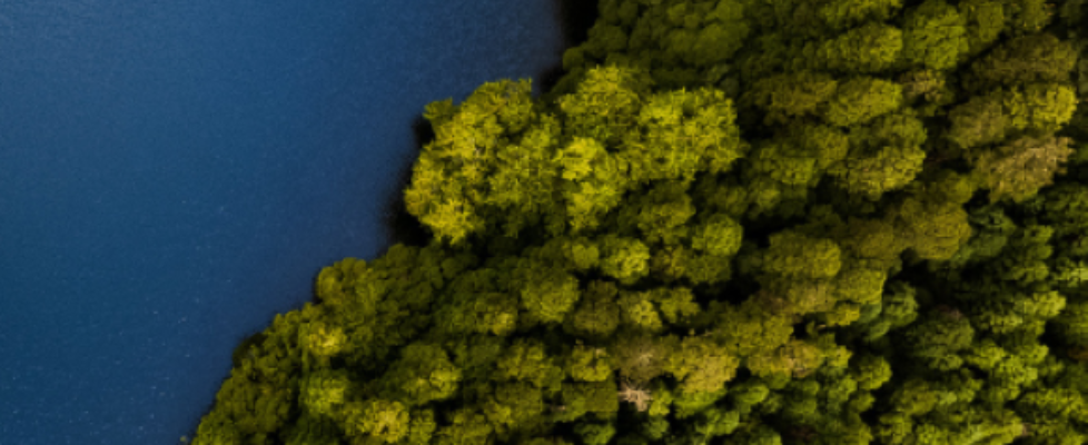 RSBiz, la nueva marca de outsourcing laboral, fiscal y contable de RibéSalat