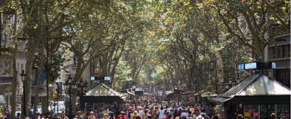 Ramblas BCN_CAC (2)