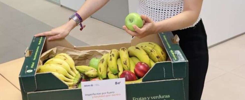 TALKUAL y Allianz Partners