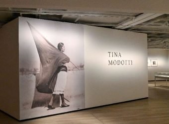 TINAMODOTTI_800X472