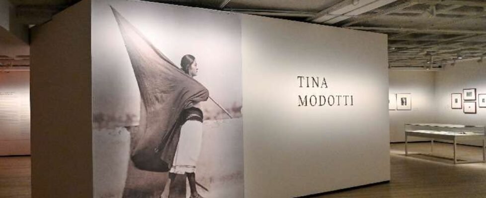 TINAMODOTTI_800X472
