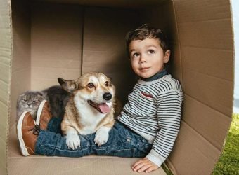 comercial segurcaixa