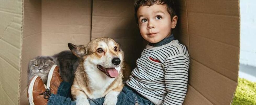 comercial segurcaixa