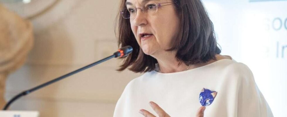 competencia cani apie