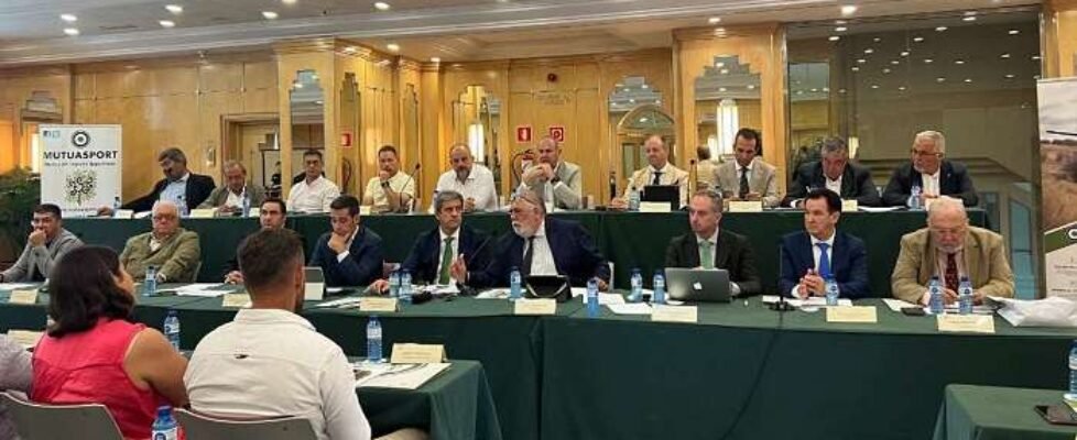 mutuasport-cierra-un-nuevo-ejercicio-con-beneficios-649bd234797c3