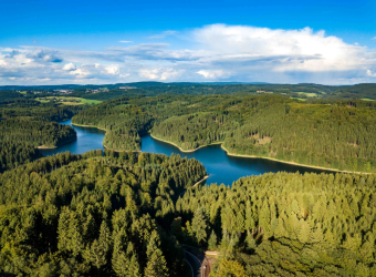 Helvetia servicios eficientes y sostenibles