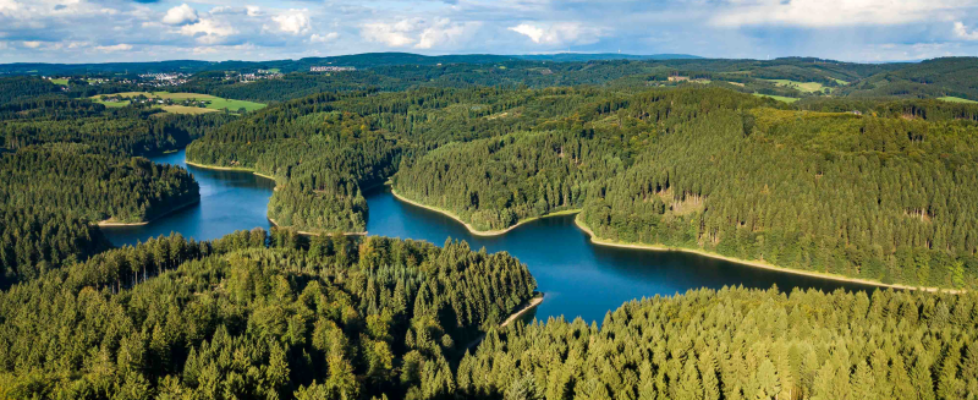 Helvetia servicios eficientes y sostenibles