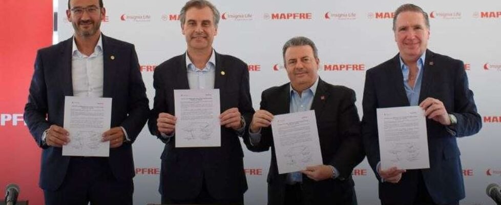 Mapfre Insignia Life