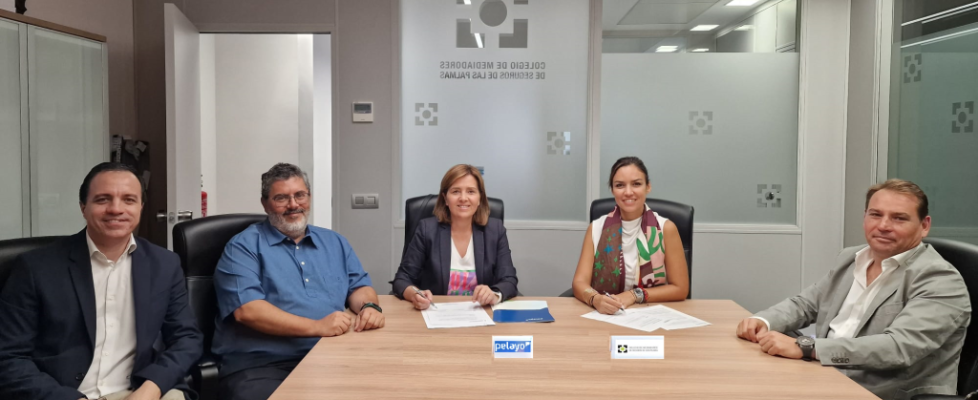 Pelayo Colegio Las Palmas