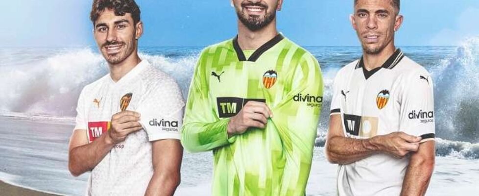 Divina Seguros Aseguradora Oficial VCF (002)