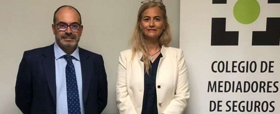 Colegio de Valladolid y Reale