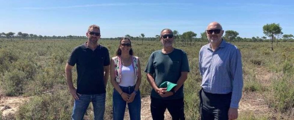 Helvetia reforestación