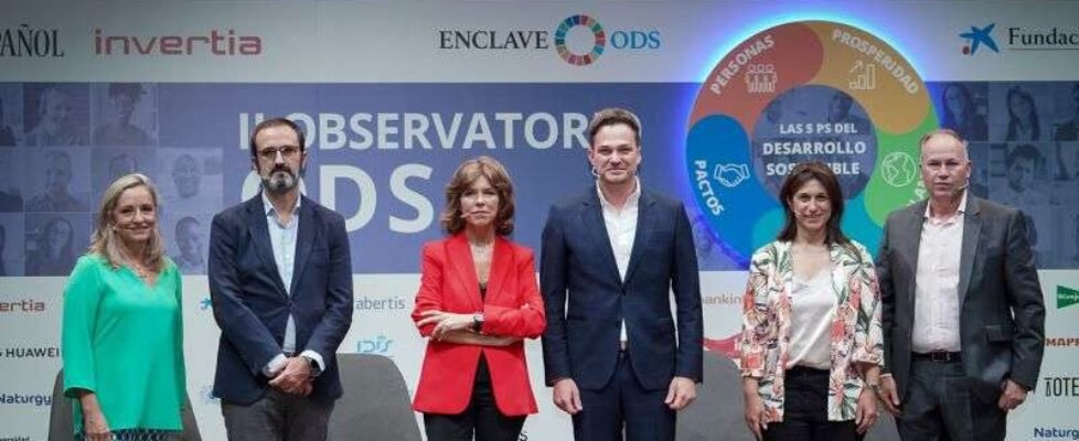 IDIS II Observatorio de ODS (1)