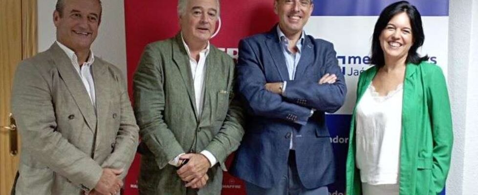 Mapfre Colegio de Jaén