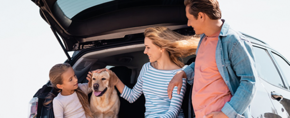 RRSS-Integracion-MutuaTinerfena-autos (1)