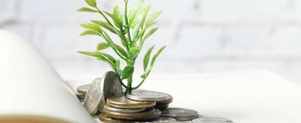 mapfre pensiones vida ahorro