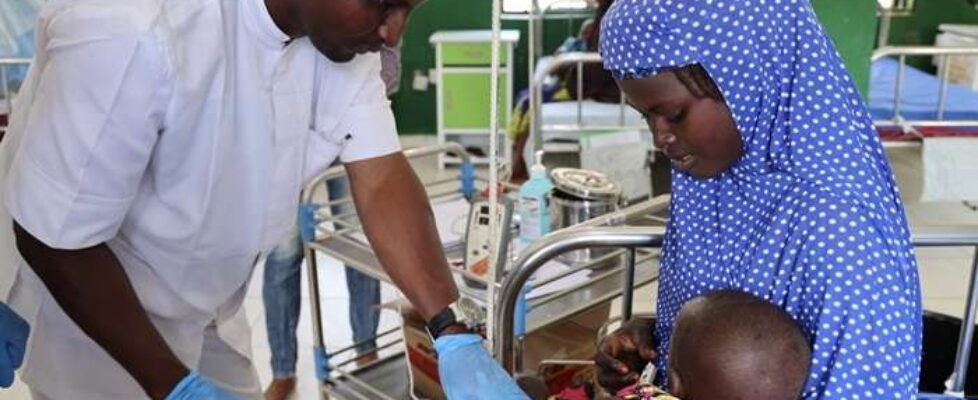 Therapeutical projects in Zurmi and Shinkafi.