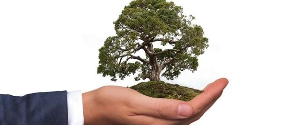 sostenibilidad_medio ambiente