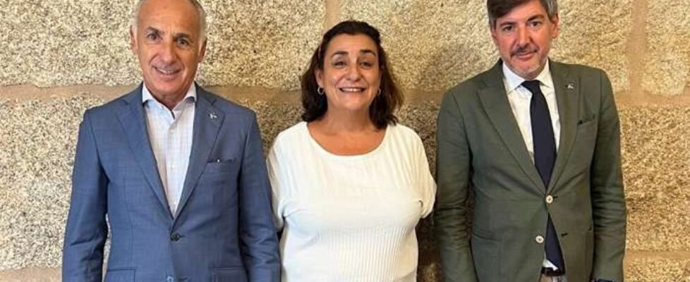 NdP.-S4 Correduría de Seguros y Larrain & Partners