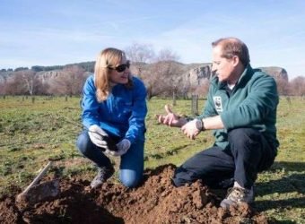 Plantación Sanitas-WWF