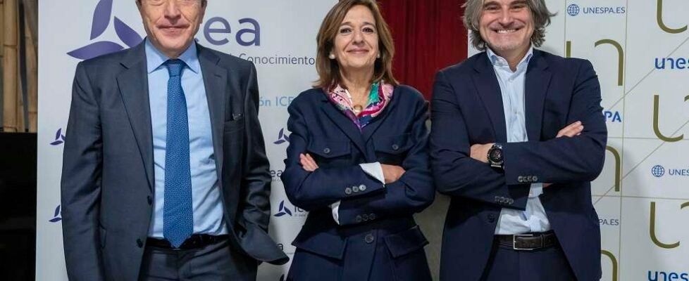 UNESPA - M Del Valle UNESPA - J A Sanchez ICEA (002)