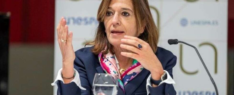 Unespa Mirenchu del Valle en ICEA