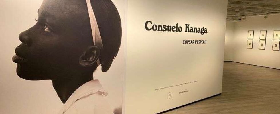 Fundación Mapfr expo