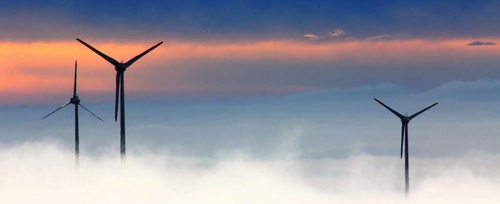 renovable marina molino