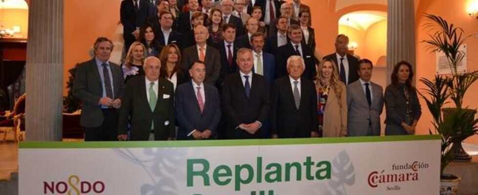 Acción Replanta - helvetia