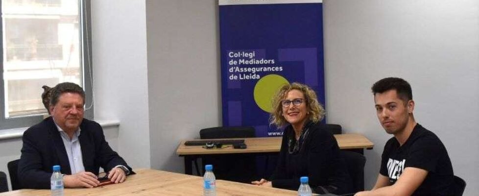 Colegio de Lleida Treball