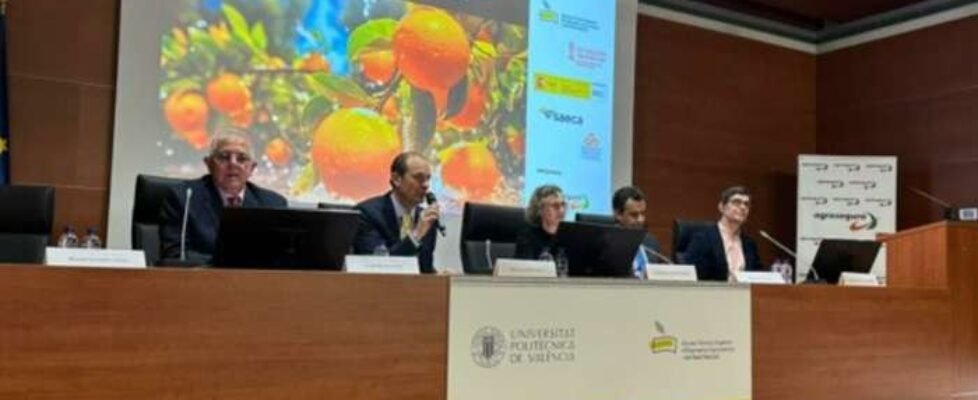 agroseguro-presentación-cítricos-valencia