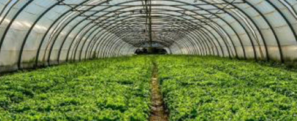 Agroseguro bajo-cubierta