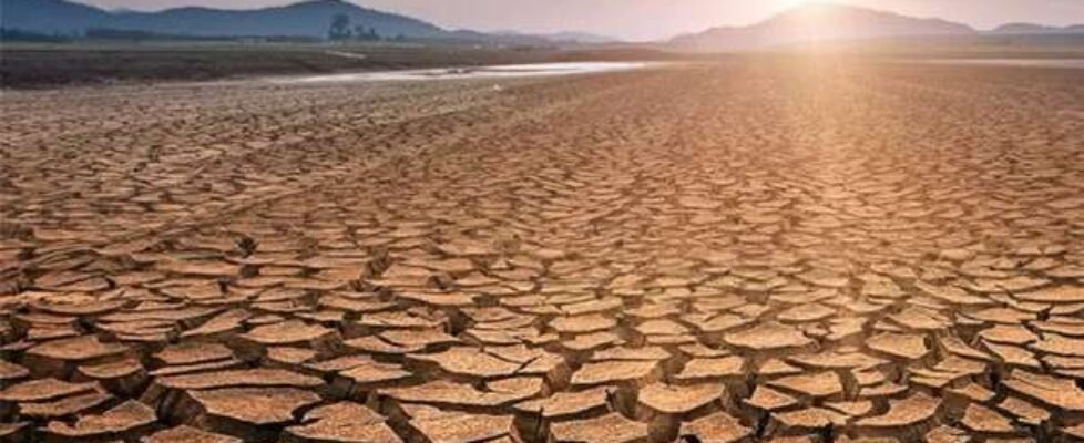 CO2-es-vida-economia-cambio-climatico