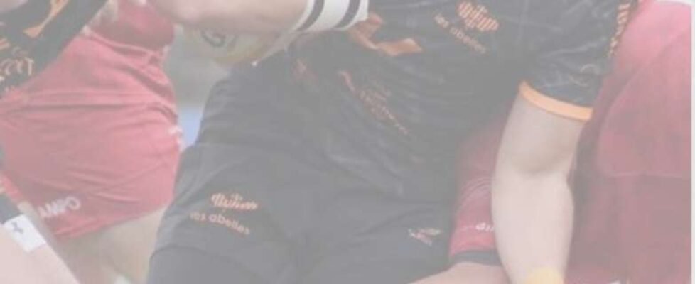 Quality Brokers (002)