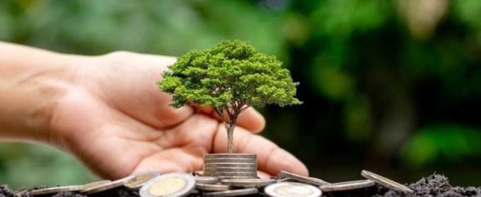 fondos sostenibilidad